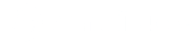 Amplitude